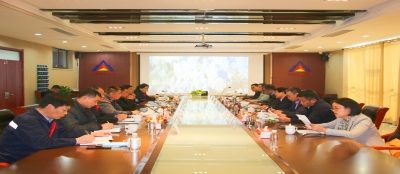 山东黄金集团考察组来大发在线官网考察合作