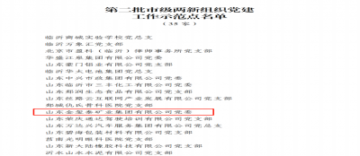 山东金玺泰矿业集团有限公司党委被评为“临沂市级两新组织党建工作示范点”