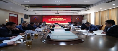 临商银行总行党委书记汲长虹一行来集团调研