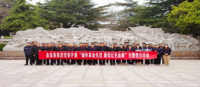 缅怀革命先烈 赓续红色血脉 - 集团党委开展清明祭扫主题党日活动