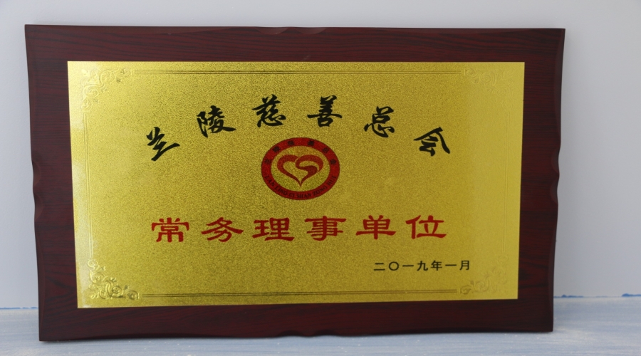 兰陵慈善总会