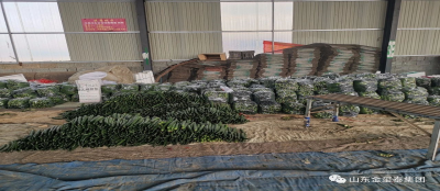 【爱心助农】大发在线官网爱心助农解忧愁 公益捐赠渡难关