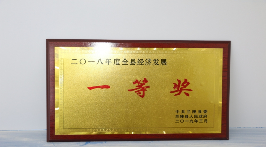 2018年度全县经济发展一等奖